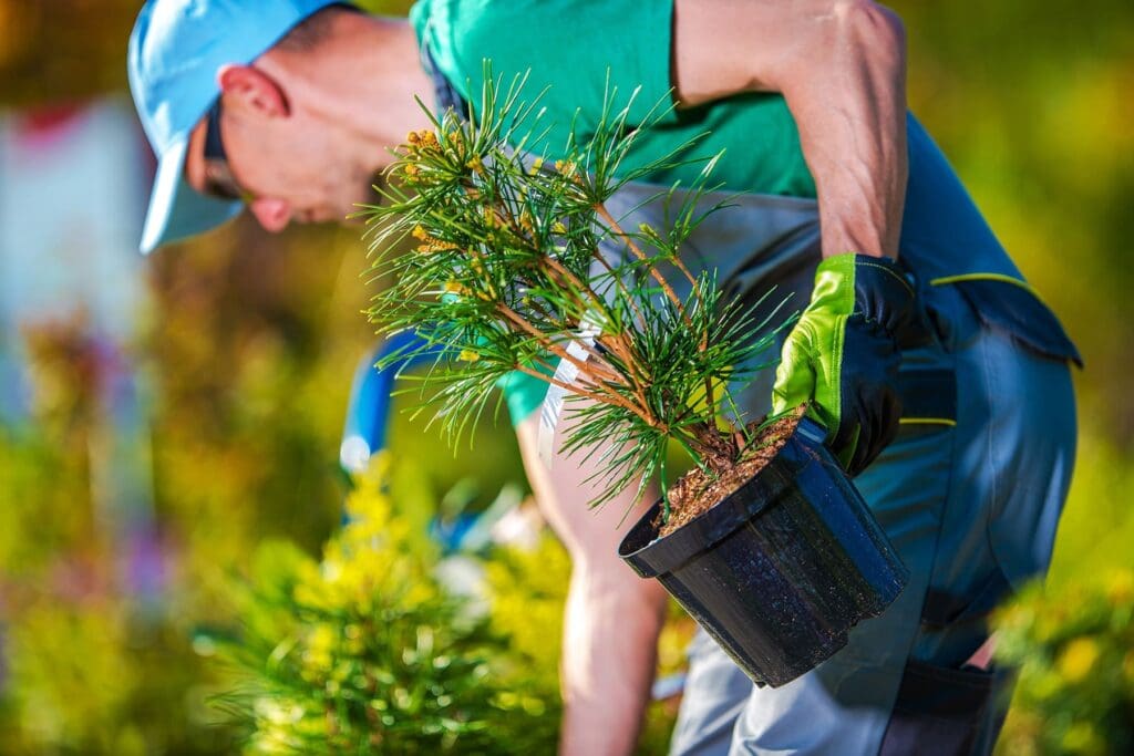 A man performing lawn and landscaping maintenance services in Reno to ensure you receive the highest quality care.